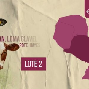 LOTE 2 | SUBASTA #63
