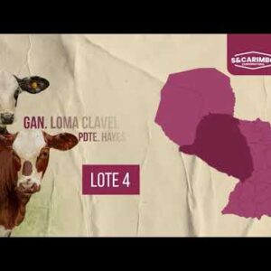 LOTE 4 | SUBASTA #63