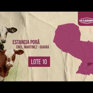 LOTE 10 | SUBASTA #65
