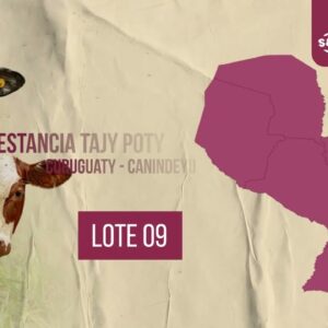 LOTE 9 | SUBASTA #65