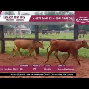 LOTE 1 | SUBASTA 05.11.2025