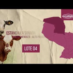 LOTE 4 | SUBASTA 12.11.2025