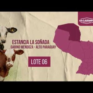 LOTE 6 | SUBASTA 12.11.2025