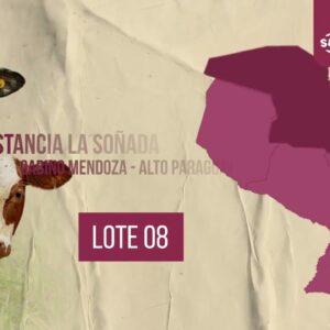 LOTE 8 | SUBASTA 12.11.2025