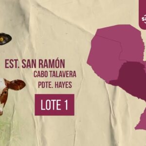 LOTE 1 | FERIA # 70 17.01.26