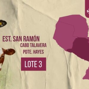 LOTE 3 | FERIA # 70 17.01.26