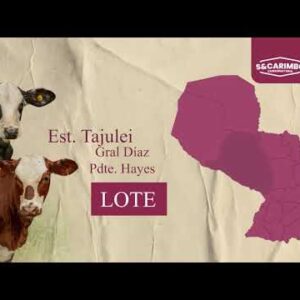 LOTE 1 | SUBASTA 30.03.26